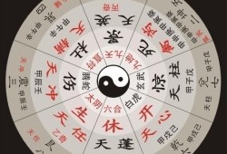 奇门遁甲爆料大全最新视频,最新视频深度解析