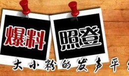 新闻爆料平台介绍,传递真相，守护舆论净土