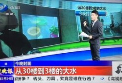 沈阳爆料最新消息新闻,聚焦城市动态与热点事件