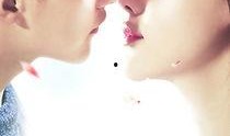 缘来幸福全集在线观看,浪漫邂逅，谱写甜蜜人生