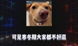 吃瓜看娱乐局,揭秘娱乐圈幕后故事