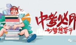 淮坊爆料最新消息今天新闻,今日新闻焦点速览